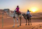 The Morning Desert Safari in Dubai