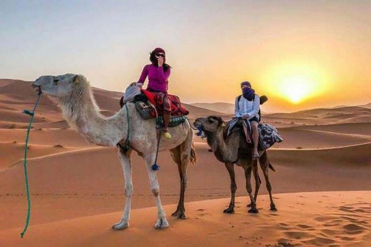 The Morning Desert Safari in Dubai