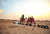 The Morning Desert Safari in Dubai