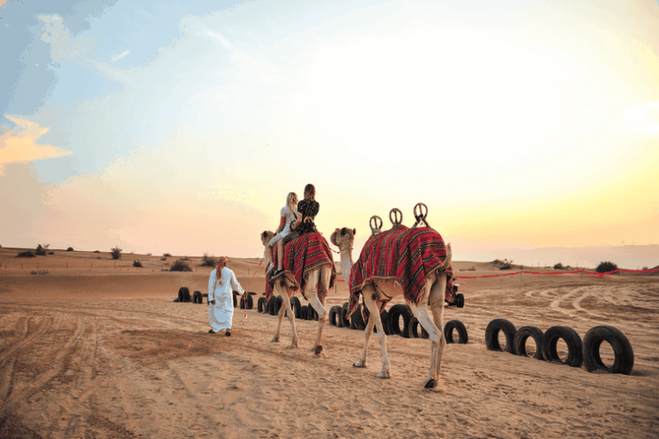 The Morning Desert Safari in Dubai