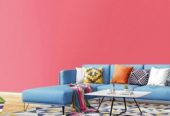 NATIONAL COMPANY OF PAINTS، SPA ENAP