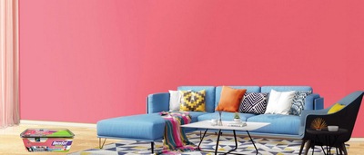 NATIONAL COMPANY OF PAINTS، SPA ENAP