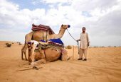 The Morning Desert Safari in Dubai