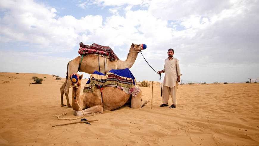 The Morning Desert Safari in Dubai
