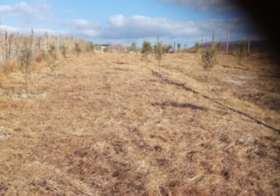 2022-09-06-23_12_27-Vente-Terrain-Mostaganem-Ain-boudinar-Mostaganem