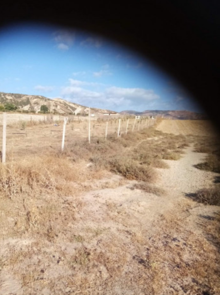 Sale Land Mostaganem Ain Boudinar