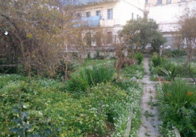 2022-09-06-23_40_10-Vente-Terrain-Alger-Alger-centre-Alger