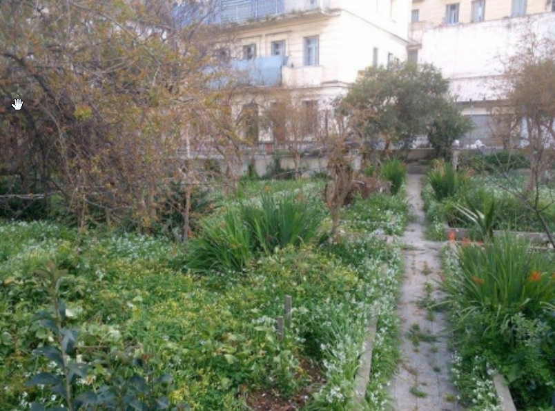 Vente Terrain Alger Alger Centre