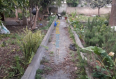 Vente Terrain Alger Alger Centre