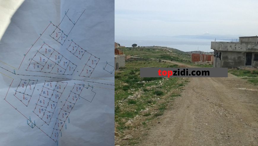 Land facing the sea Tlemcen – Marsa Ben Mhidi