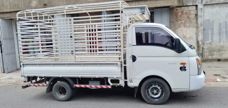 Hyundai H-100 2011