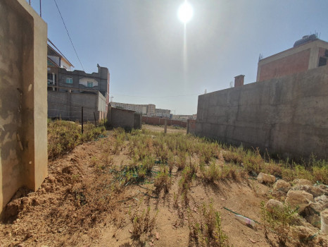 Vente terrain constructible à Blida Algérie