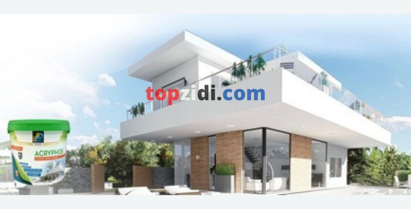 NATIONAL COMPANY OF PAINTS، SPA ENAP