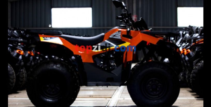 Loncin 200 Vms