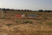 Vente Terrain Alger Tessala El Merdja