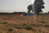 Vente Terrain Alger Tessala El Merdja