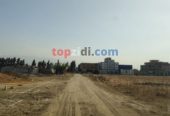 Vente Terrain Alger Tessala El Merdja