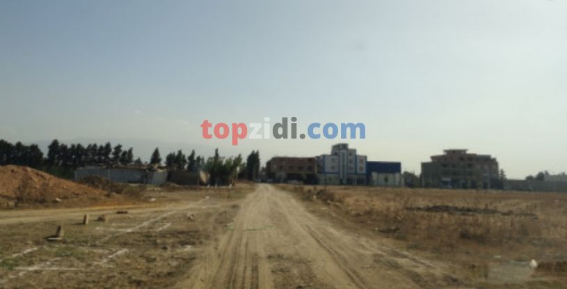 Vente Terrain Alger Tessala El Merdja