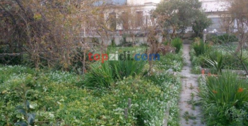 Vente Terrain Alger Alger Centre