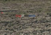 Vente Terrain Relizane Sidi Khettab 1500DA M2