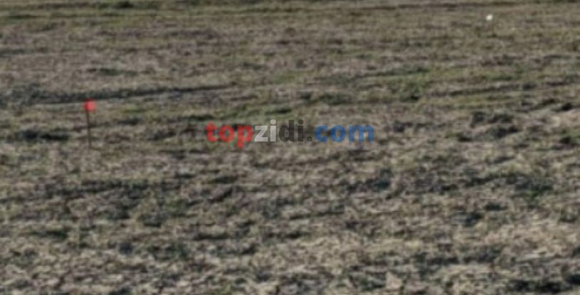 Vente Terrain Relizane Sidi Khettab 1500DA M2