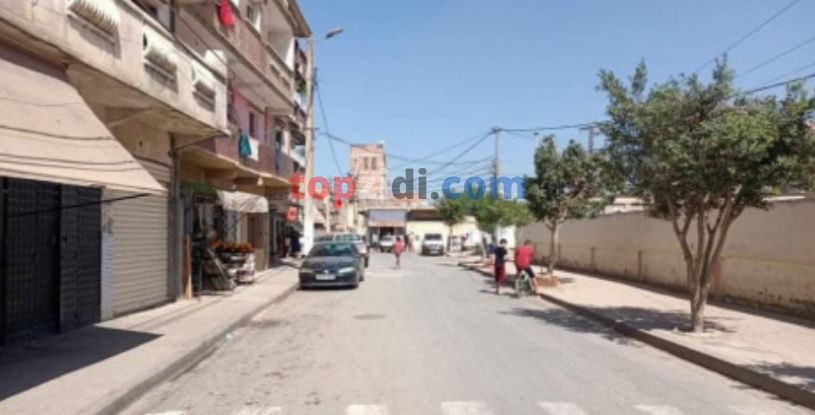 Vente Terrain Alger Birtouta