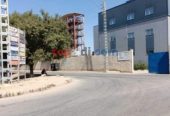 Vente Terrain Alger Birtouta