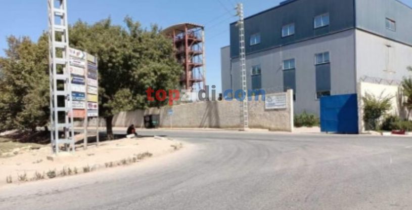 Vente Terrain Alger Birtouta