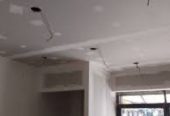 Placo Platre Placoplatre Faux Plafond BA13 + Élec