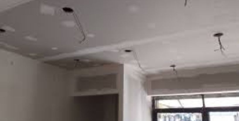 Placo Platre Placoplatre Faux Plafond BA13 + Élec