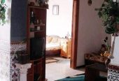 for your stay in Oran