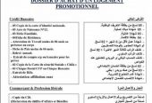 Djaffar /F3 /F4 real estate developer