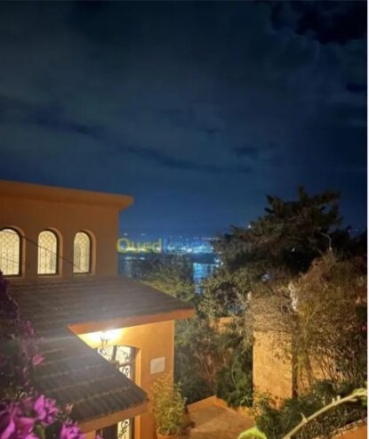 Vente d’une Magnifique Villa à Oran