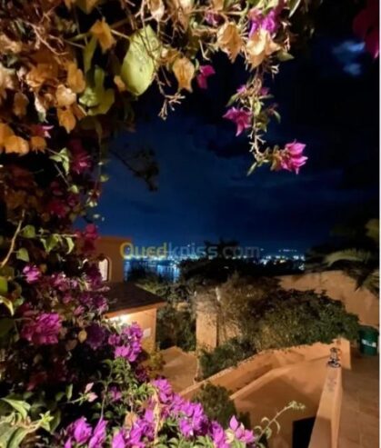 Vente d’une Magnifique Villa à Oran